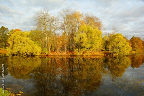 Autumn island in Tsarskoye Selo
