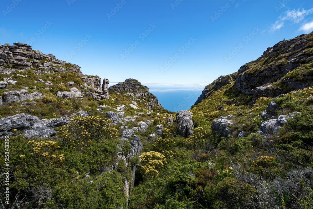 View of top of Table Mountain ins Cape Town, South Africa View of top of Table Mountain ins Cape Town, South Africa