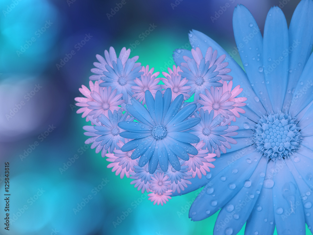 Obraz premium blue-pink flowers, on blue-turquoise blurred background . Closeup. Bright floral composition, card for the holiday. collage of flowers. Nature.