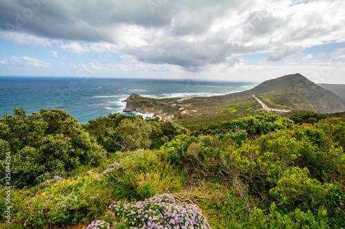 Cape of good Hope , South Africa