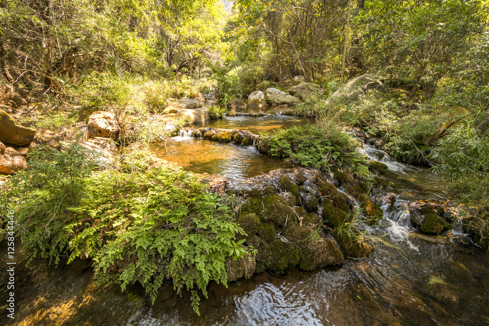 In the Blyde River Canyon, Mpumalanga, South Africa In the Blyde River Canyon, Mpumalanga, South Africa