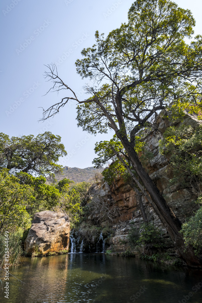 In the Blyde River Canyon, Mpumalanga, South Africa In the Blyde River Canyon, Mpumalanga, South Africa