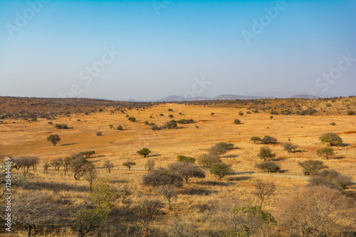 South African Veld Region