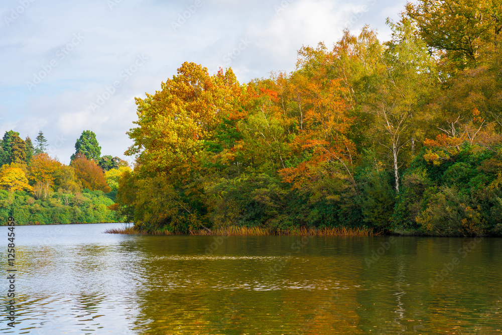 A lake in Virginia Water in Surrey, UK