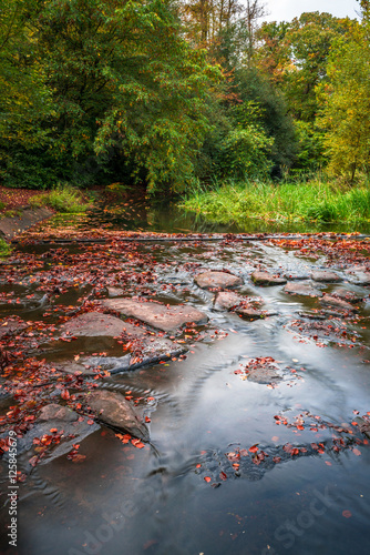 A cascade in Virginia Water in the fall colors, Surrey, UK