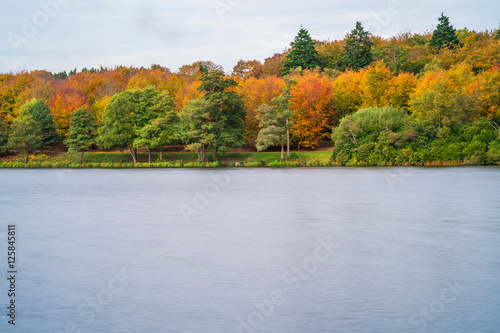 A lake in Virginia Water in Surrey, UK