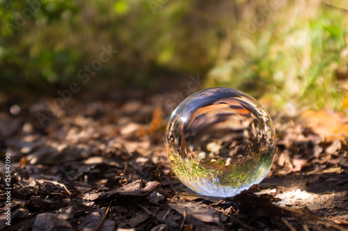 Crystal Ball Nature