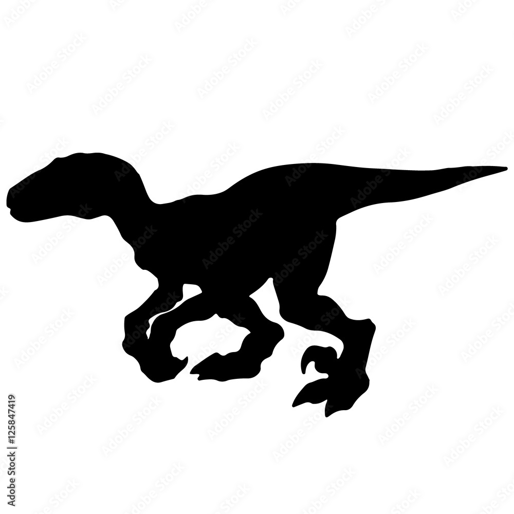 Black vector illustration silhouette of velociraptor Black vector illustration silhouette of velociraptor