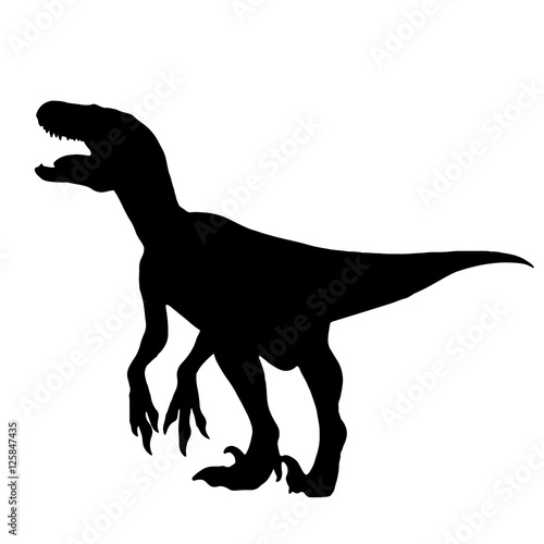 Black vector illustration silhouette of velociraptor