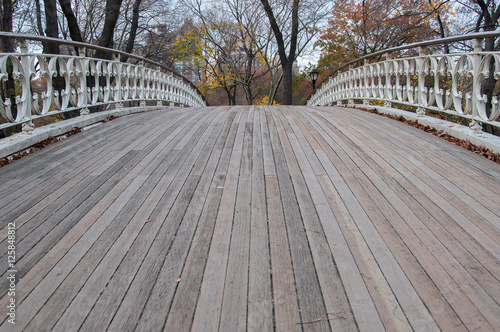 Pedestrian bridge on Central Park, New York