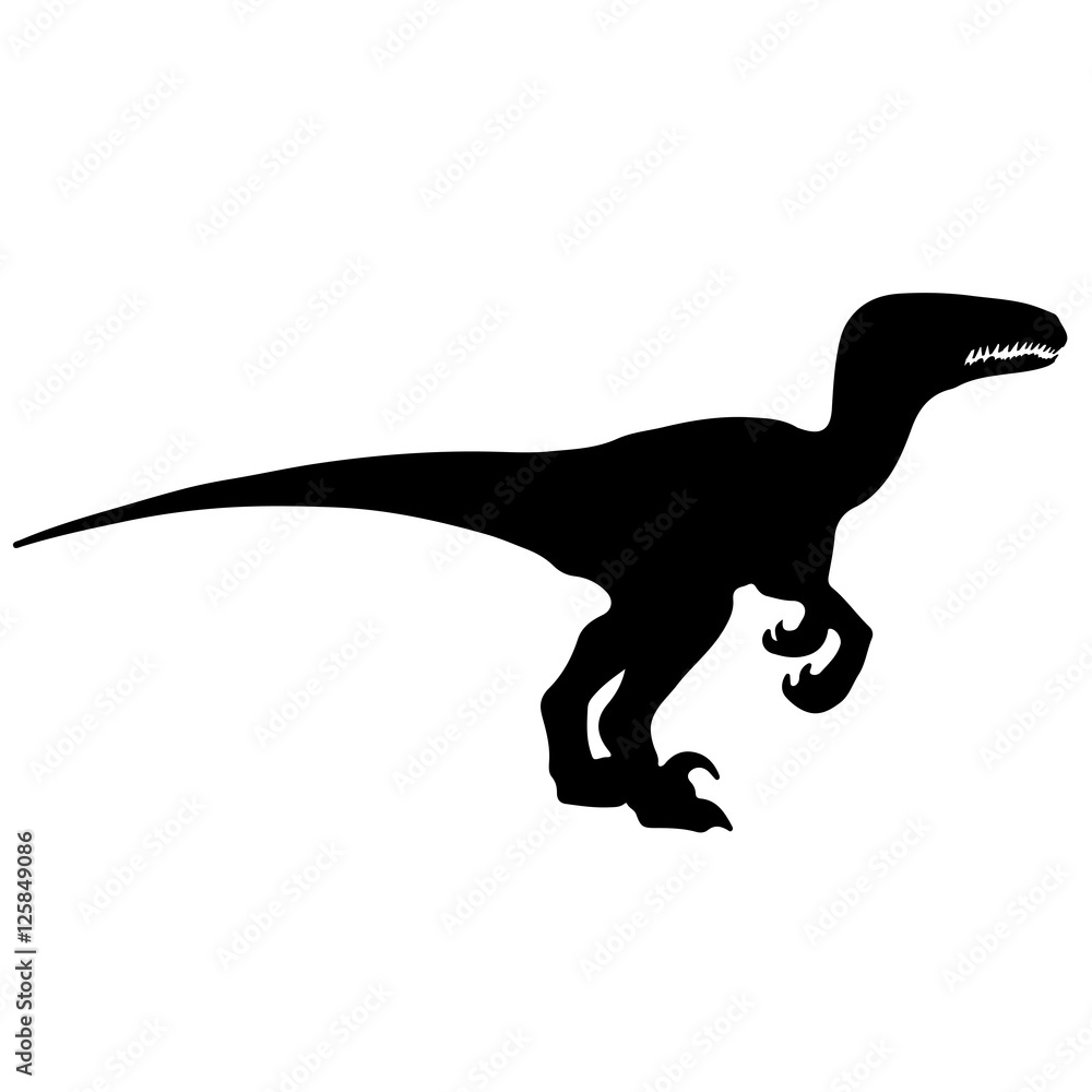 Black vector illustration silhouette of velociraptor Black vector illustration silhouette of velociraptor