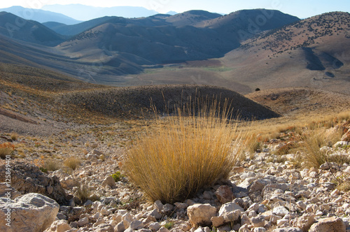 Highland stone desert. Glacier trail