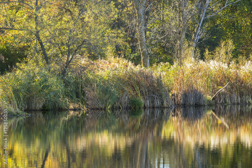 Lake Maria In Autumn Lake Maria In Autumn