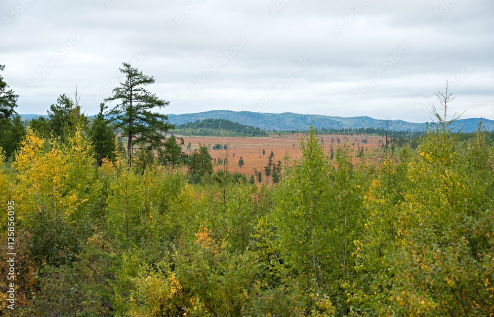 Obraz premium Россия, Амурская область, пейзаж.