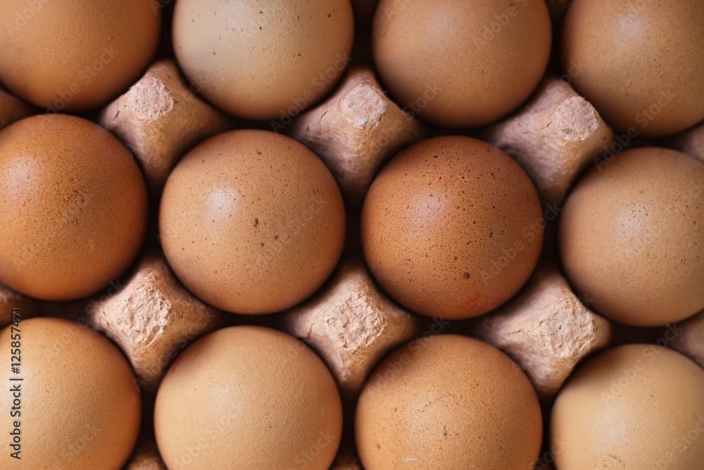 eggs in the box eggs in the box