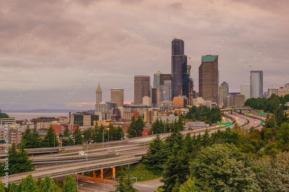 View of downtown Seattle skyline View of downtown Seattle skyline