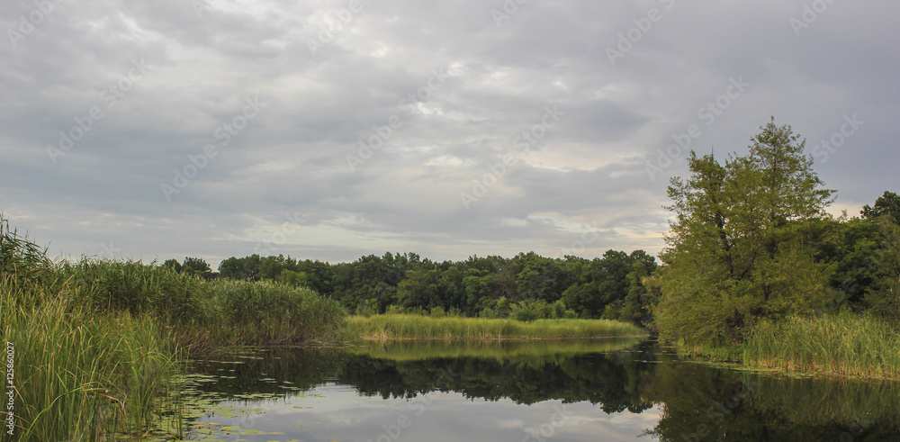 Fototapeta premium It is going to rain