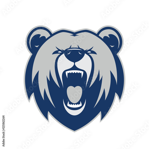 Bear head mascot