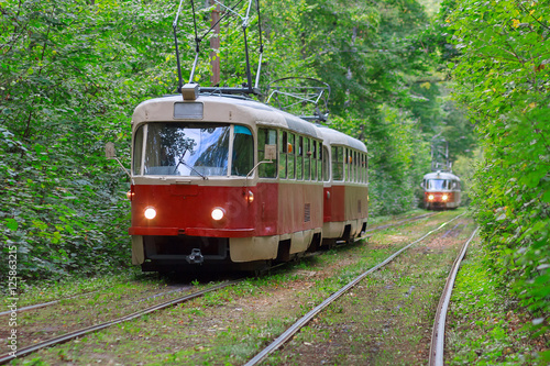 Trams with the lights on in the forest tunnel. Kiev, Ukraine