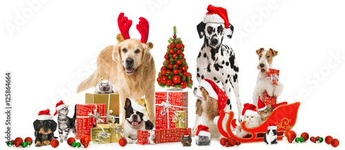 Weihnachtstiere - Christmas Pets © DoraZett