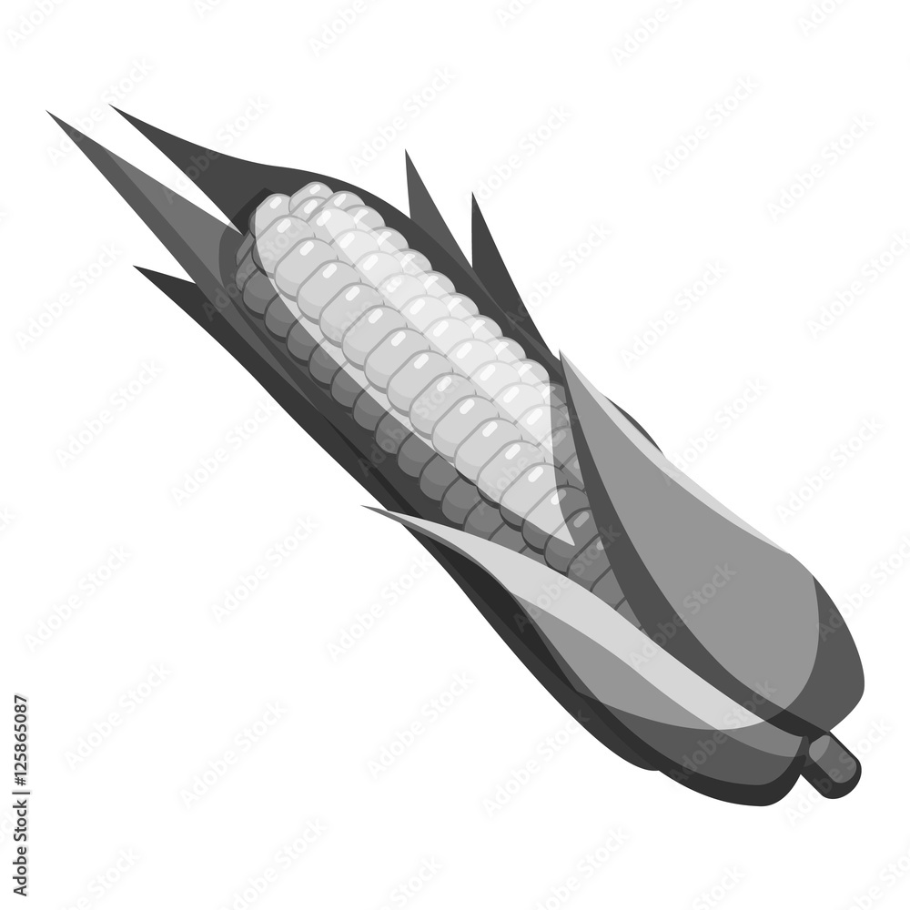 Corncob icon. Gray monochrome illustration of corncob vector icon for web Corncob icon. Gray monochrome illustration of corncob vector icon for web
