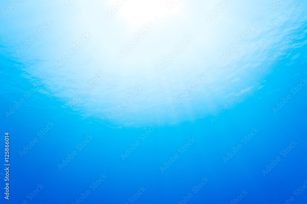 Fototapeta premium underwater background