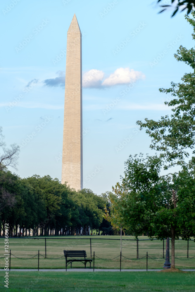 Obraz premium The Washington Monument in Washington D.C.