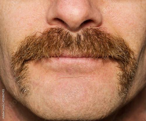 Cuadro en lienzo Movember Mustache