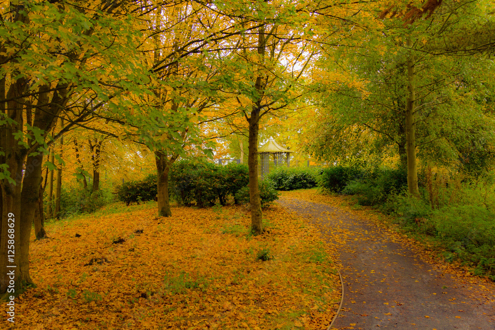 Naklejka premium Southwater Gazebo in Autumn
