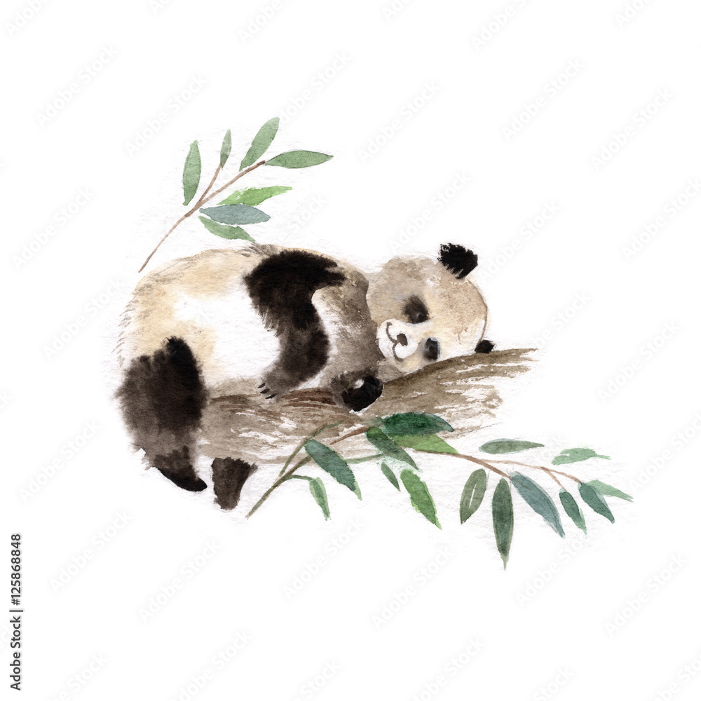Fototapeta premium Giant Panda Bear śpi na drzewie, akwarela