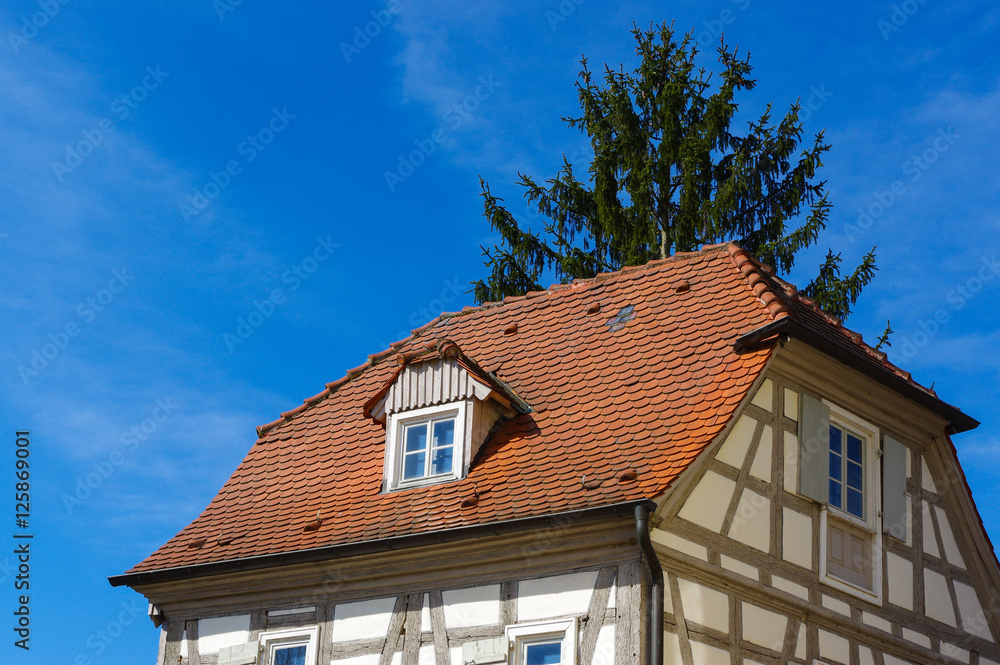 roof of a residential tudor style house with blue sky in background