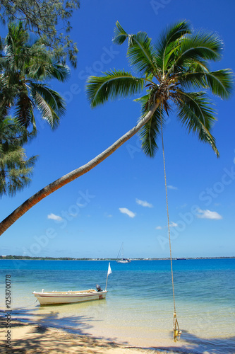 Leaning palm tree with rope swing at Pangaimotu island near Tong photo