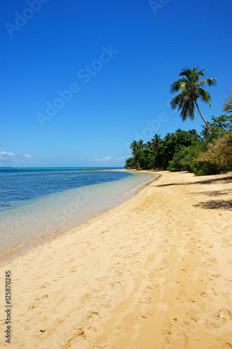 Sandy beach at Pangaimotu island near Tongatapu island in Tonga photo