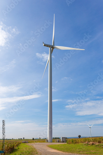 Eco power, Wind turbine on the green grass and corn field over the blue cloudy sky