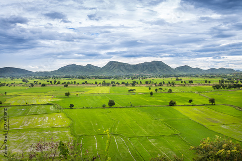 Landscape of jasmine rice green field with mountain and cloud sky background at Kanchanaburi Thailand
