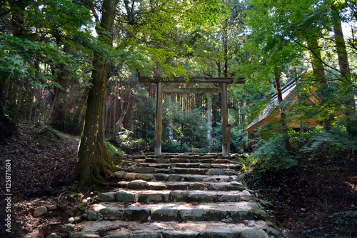 This is the approach of the shrine in countryside of Itoshima city  Fukuoka  JAPAN.   It is in October.