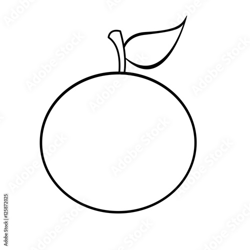 orange fruit icon image vector illustration design 