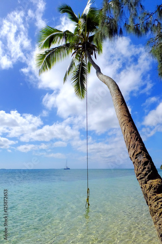 Leaning palm tree with rope swing at Pangaimotu island near Tong photo