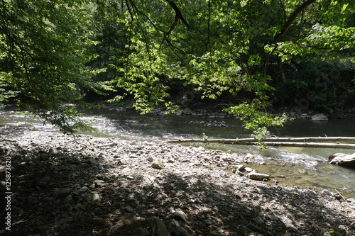 River. Transcarpathia