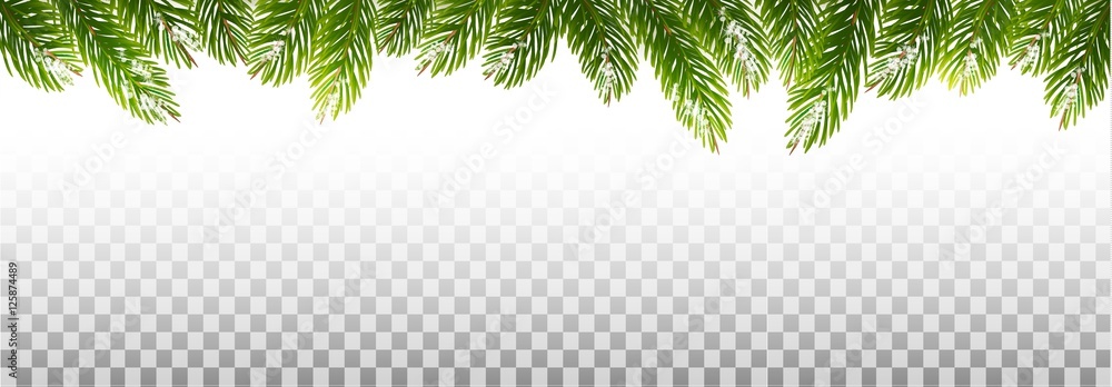 Holiday Christmas Frame With Green Tree Branches on Transparent Stock  Vector | Adobe Stock