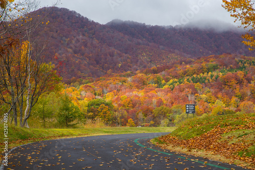 View Beautiful Autumn in Japan photo