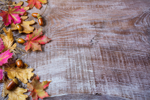 Thanksgiving concept with acorn and fall leaves on wooden backg