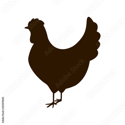 silhouette of chicken bird icon over white background. farm animal design. vector illustration