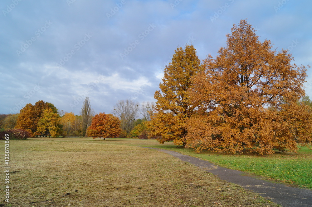 Vintage photo of beautiful autumn landscape - golden Polish autumn - autumn alley