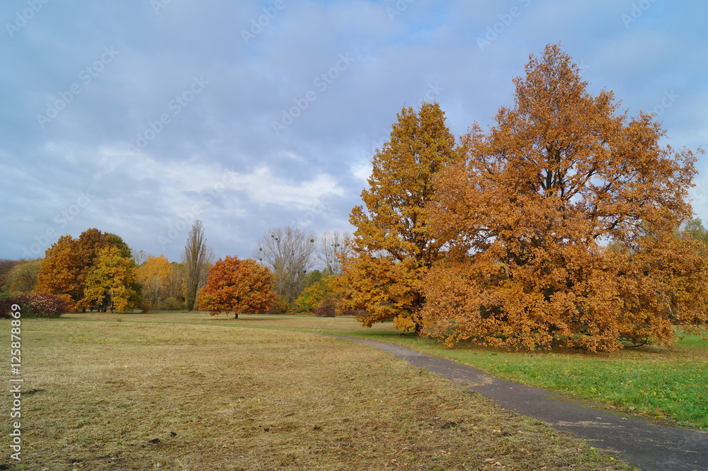 Fototapeta premium Vintage photo of beautiful autumn landscape - golden Polish autumn - autumn alley