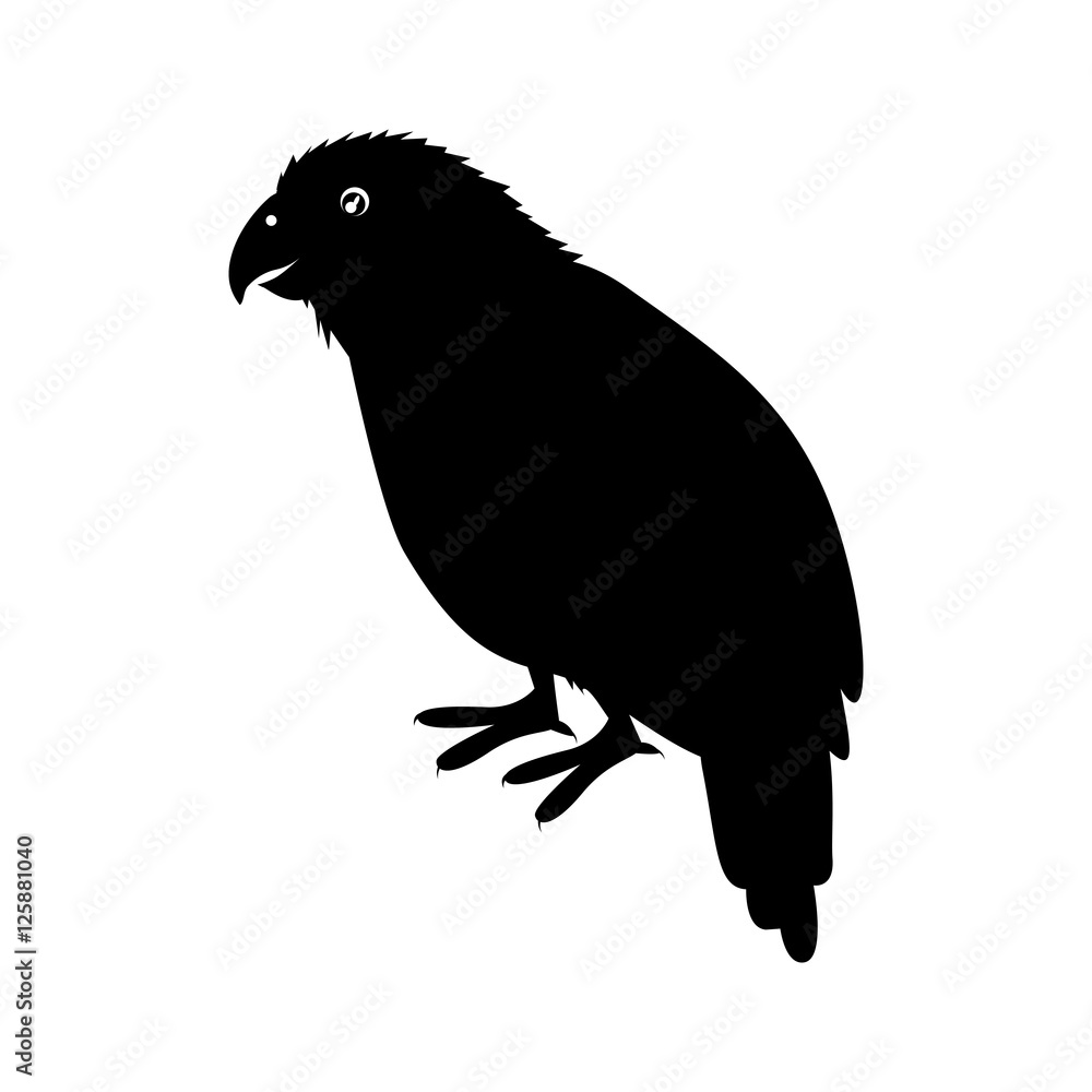 Fototapeta premium kakapo bird icon over white background. new zealand symbol. vector illustration