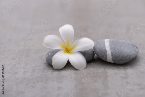 spa theme objects on grey background.