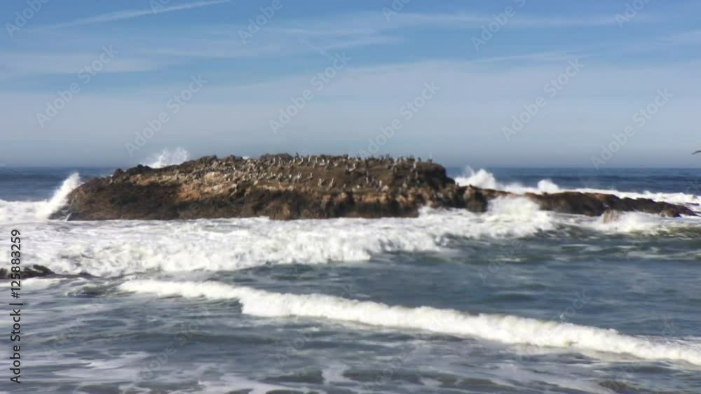 4K HD Video of waves crashing over a rocky island along Pescadero beach with hundreds of brown pelicans and cormorants resting, safe from predators until low tide. 4K HD Video of waves crashing over a rocky island along Pescadero beach with hundreds of brown pelicans and cormorants resting, safe from predators until low tide.