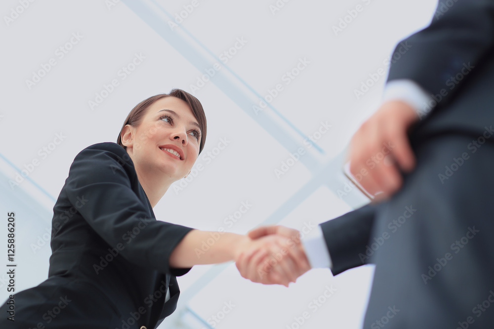 Two professional business people shaking hands