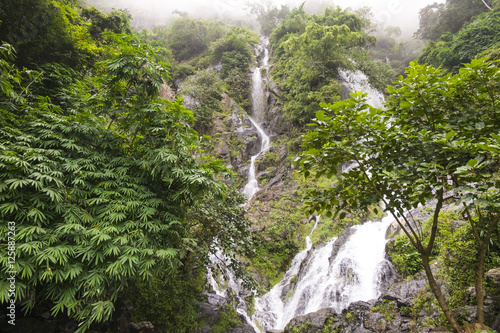 Waterfalls in rainforests and cloud © chongnarai